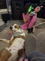 A164191 Cinnamon.jpg