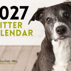 2027 Critter Calendar PREORDER